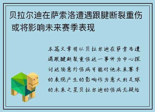 贝拉尔迪在萨索洛遭遇跟腱断裂重伤 或将影响未来赛季表现 贝拉尔迪在萨索洛遭遇跟腱断裂重伤 或将影响未来赛季表现